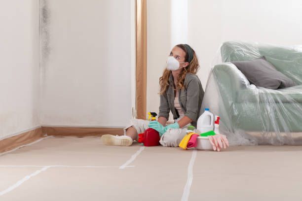 Reliable Mold Inspection And Testing contractor in Bridgeport, WA by Car Mold Remediation